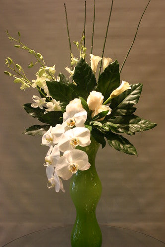 Featured Local Grower: Oriental Orchids