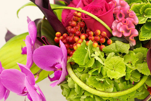 Feature flower – Whimsical summer flowers