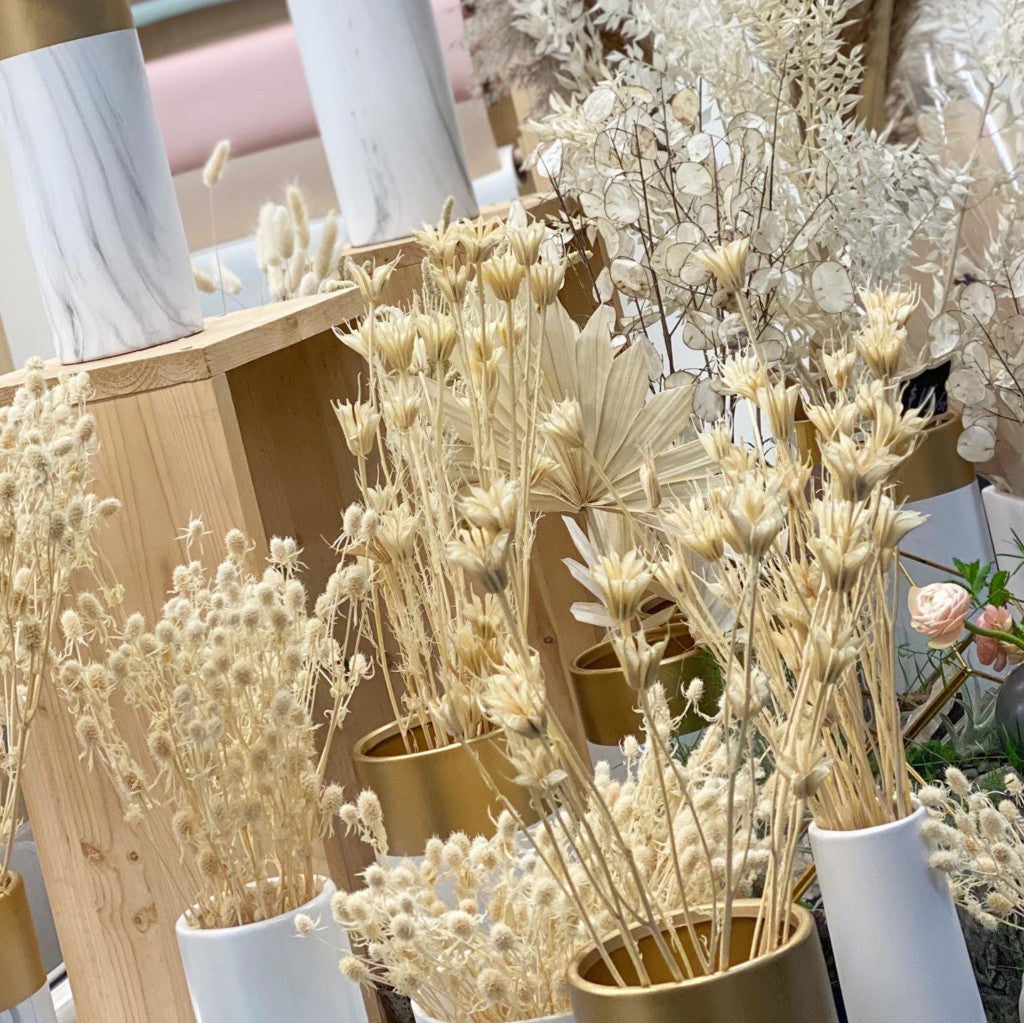 Playing With Dried Flowers