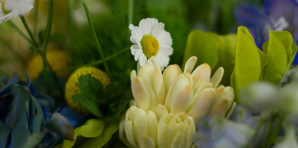 Mother’s Day 2014 –  Sunday, May 11th